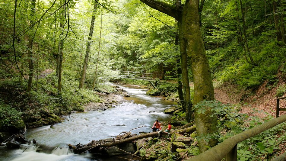 Wanderung Etappe 18 Vom Gletscher zum Wein Südroute Weinebene - Deutschlandsberg - Touren-Impression #2.3 | © Steiermark Tourismus/Herbert Raffalt