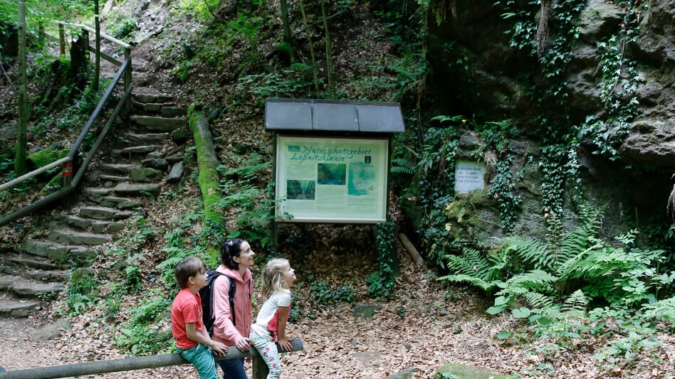 Wanderung Etappe 18 Vom Gletscher zum Wein Südroute Weinebene - Deutschlandsberg - Touren-Impression #2.4 | © Steiermark Tourismus/Herbert Raffalt