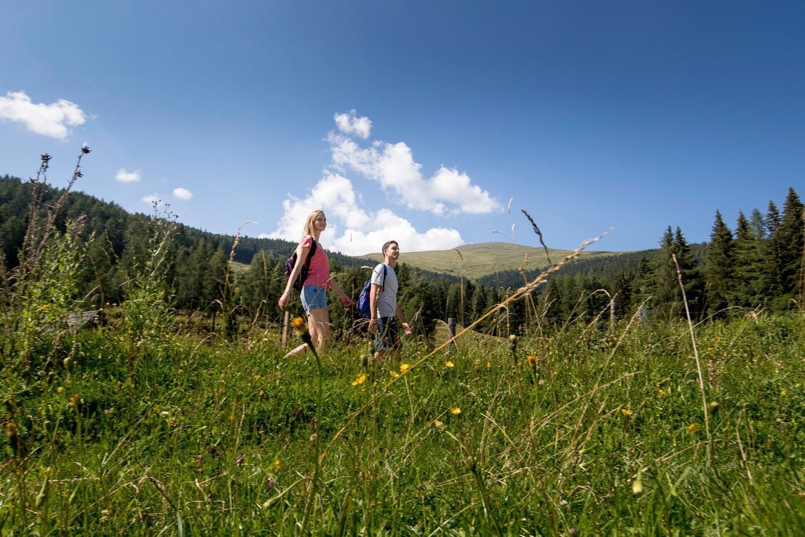 Hiking route Pöllau circular hiking trail - Touren-Impression #1 | © Tourismusverband Murau