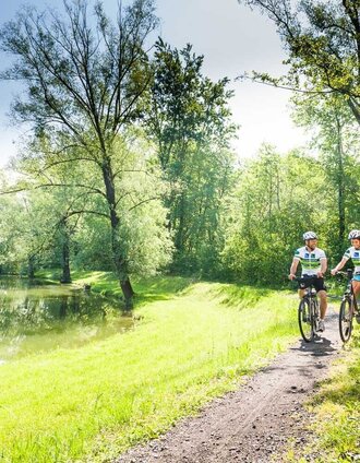 Experience the pond landscape | pixelmaker.at | © Thermen- & Vulkanland