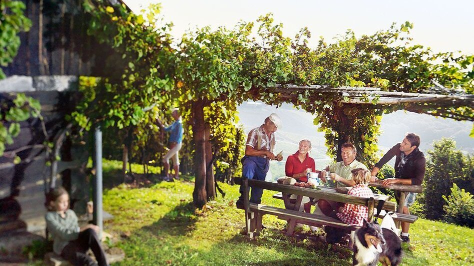 Bike Riding Pond-Tour (Teich-Tour) - Touren-Impression #2.4 | © Erlebnisregion Thermen- & Vulkanland