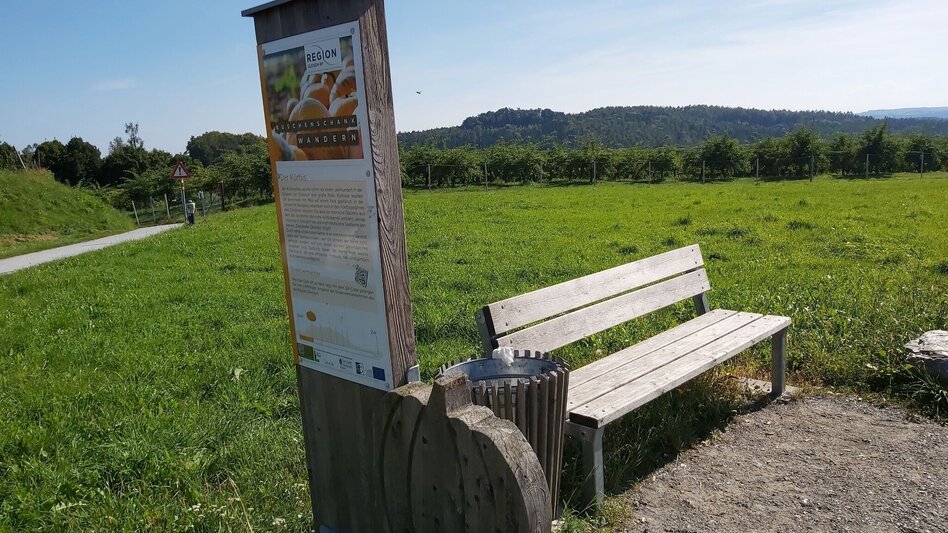 Wanderung Buschenschankwandern, Gleisdorf - Touren-Impression #2.7 | © Oststeiermark Tourismus
