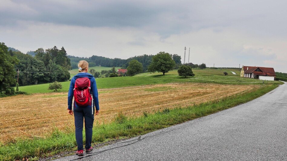 Wanderung Buschenschankwandern, Gleisdorf - Touren-Impression #2.9 | © Oststeiermark Tourismus