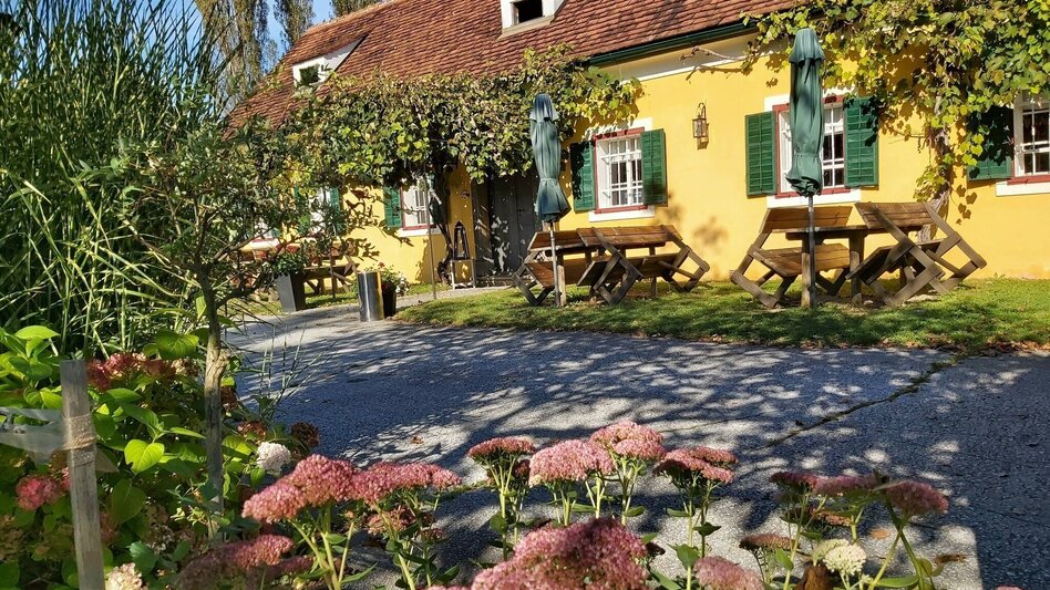 Wanderung Buschenschankwandern, Gleisdorf - Touren-Impression #2.12 | © Oststeiermark Tourismus