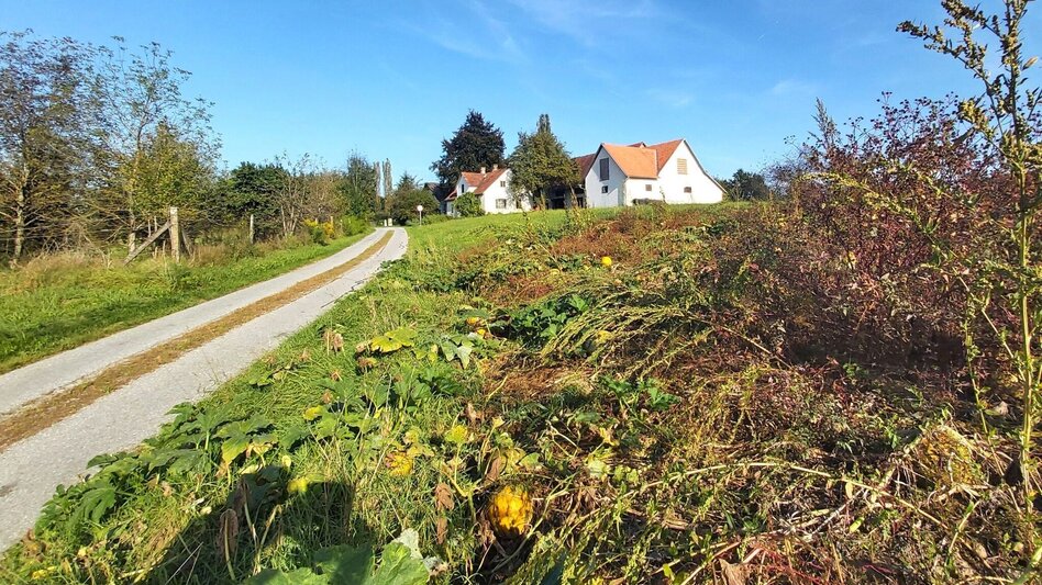 Wanderung Wandern mit Aussicht, Gleisdorf - Touren-Impression #2.2 | © Oststeiermark Tourismus