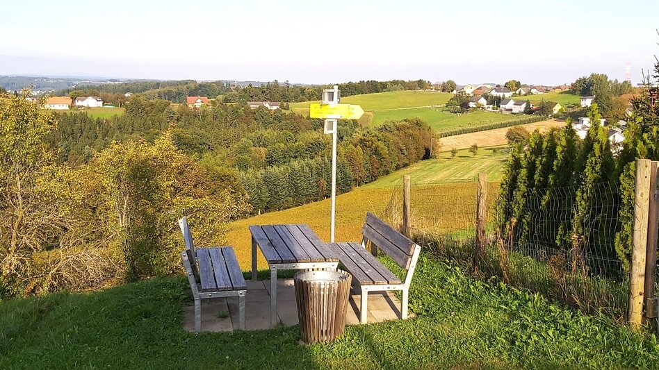 Wanderung Wandern mit Aussicht, Gleisdorf - Touren-Impression #2.9 | © Oststeiermark Tourismus