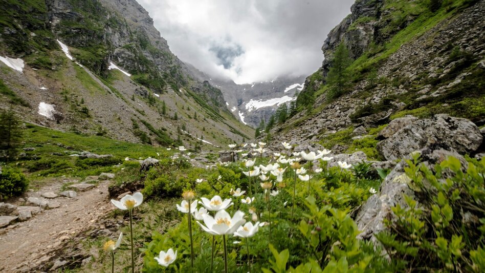 Hiking route Gollinghütte chalet and Gollingwinkel in Steinriesental valley - Touren-Impression #2.5 | © Gerhard Pilz - www.gpic.at
