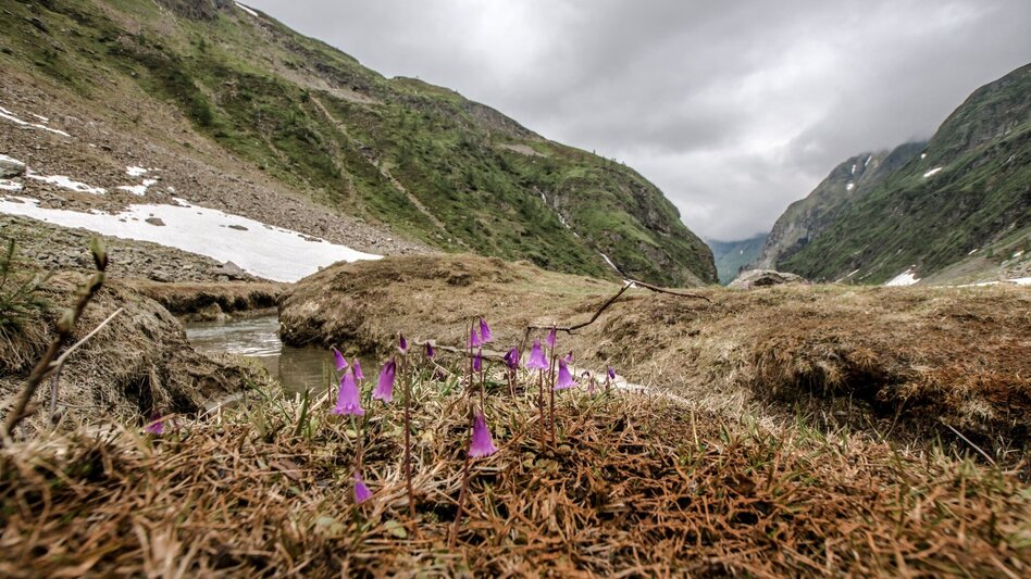 Hiking route Gollinghütte chalet and Gollingwinkel in Steinriesental valley - Touren-Impression #2.7 | © Gerhard Pilz - www.gpic.at