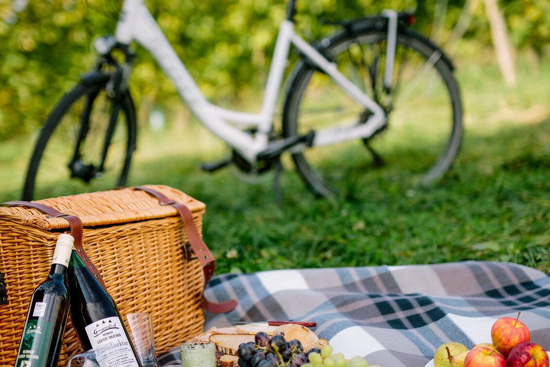 Radfahren Stage 04 Styrian Wine Country Cycling Route Graz - St. Ruprecht an der Raab - Touren-Impression #1 | © TV St. Ruprecht an der Raab/Die Mosbacher' s