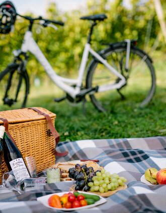 Picknick bei St. Ruprecht an der Raab | Die Mosbacher`s | © TV St. Ruprecht an der Raab/Die Mosbacher' s