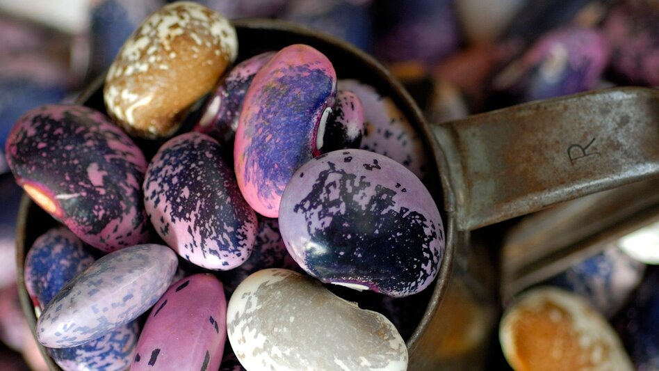 Radfahren Stage 04 Styrian Wine Country Cycling Route Graz - St. Ruprecht an der Raab - Touren-Impression #2.9 | © Steiermark Tourismus/bigshot.at