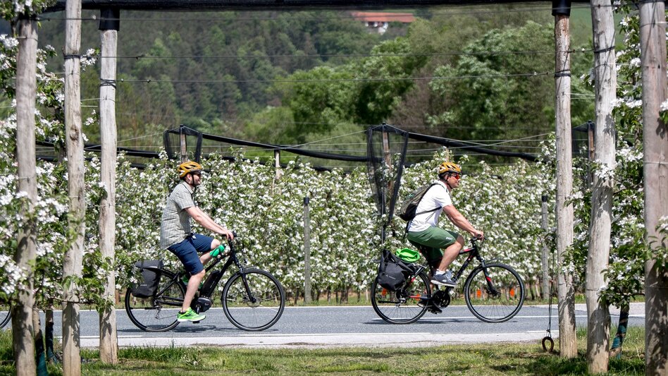 Bike Riding Stage 05 Styrian Wine Country Cycling Route St. Ruprecht an der Raab - Hartberg - Touren-Impression #2.6 | © Steiermark Tourismus/Tom Lamm