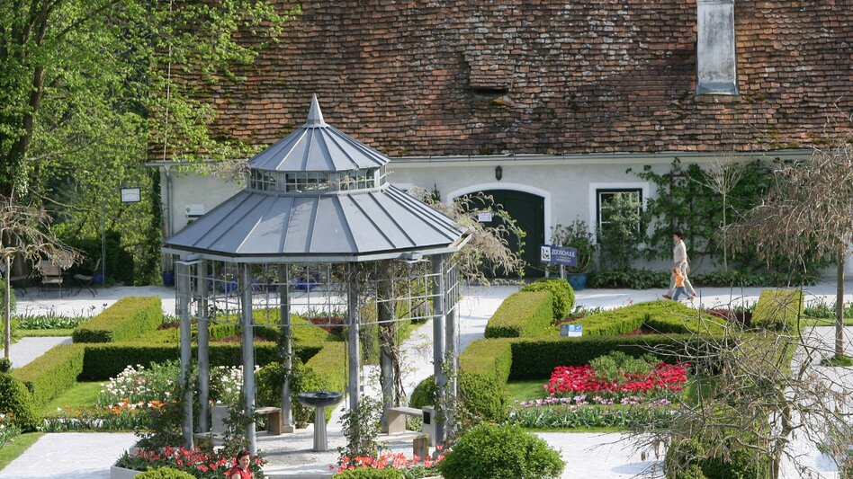 Bike Riding Stage 05 Styrian Wine Country Cycling Route St. Ruprecht an der Raab - Hartberg - Touren-Impression #2.13 | © Vino Cool/Schiffer-Symbol