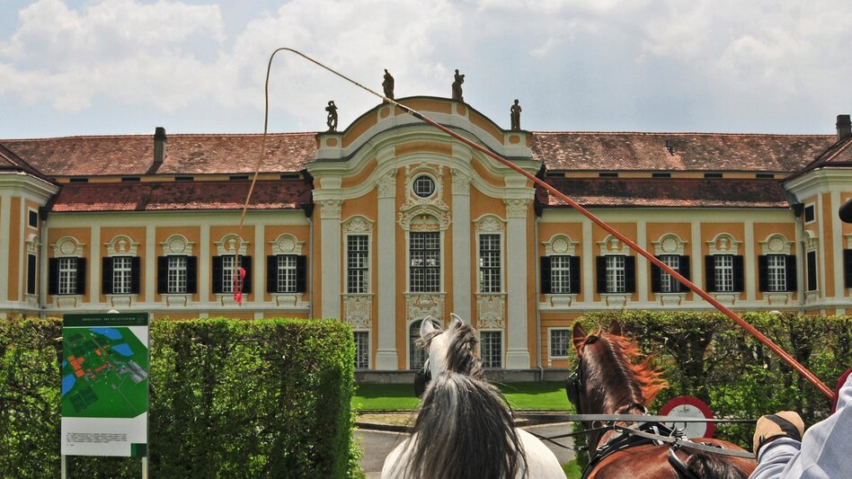 Bike Riding Stage 05 Styrian Wine Country Cycling Route St. Ruprecht an der Raab - Hartberg - Touren-Impression #2.14 | © Arnetpress/Rene Arnet