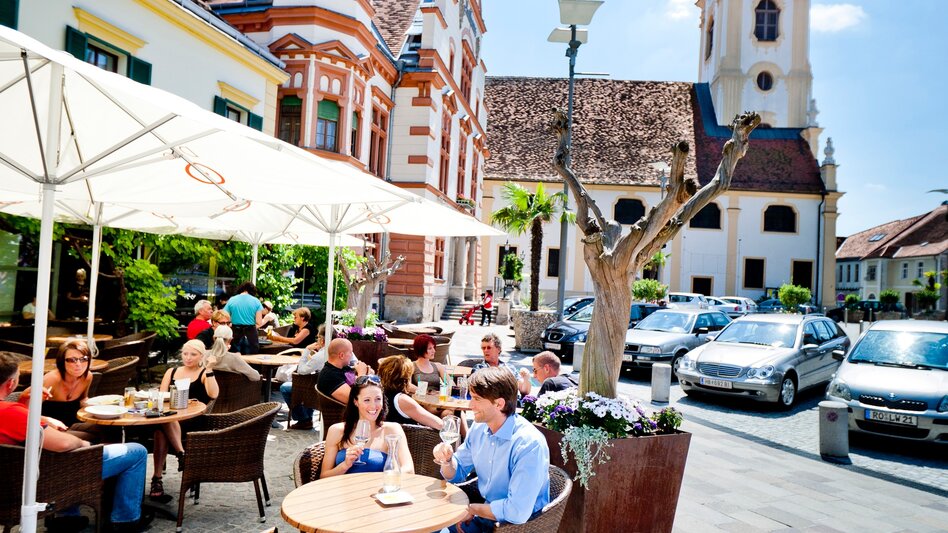 Bike Riding Stage 05 Styrian Wine Country Cycling Route St. Ruprecht an der Raab - Hartberg - Touren-Impression #2.16 | © Steiermark Tourismus/Tom Lamm