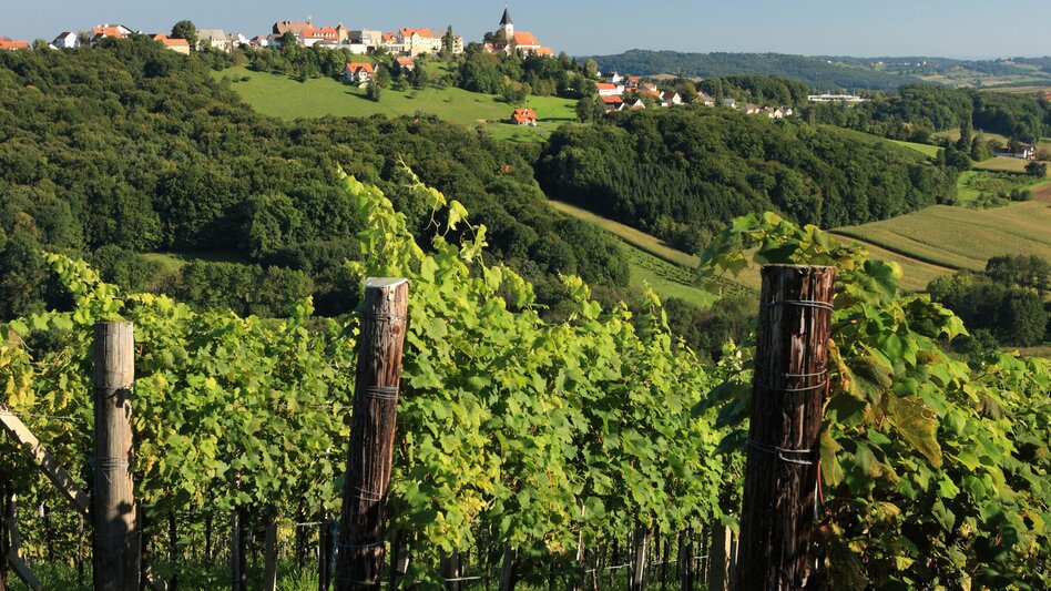 Bike Riding Etappe 07 Weinland Steiermark Radtour Therme Loipersdorf - Bad Radkersburg - Touren-Impression #2.6 | © Vino Cool/Schiffer-Symbol