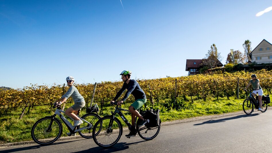 Bike Riding Etappe 01 Weinland Steiermark Radtour Leibnitz - Deutschlandsberg - Touren-Impression #2.5 | © Steiermark Tourismus/Tom Lamm
