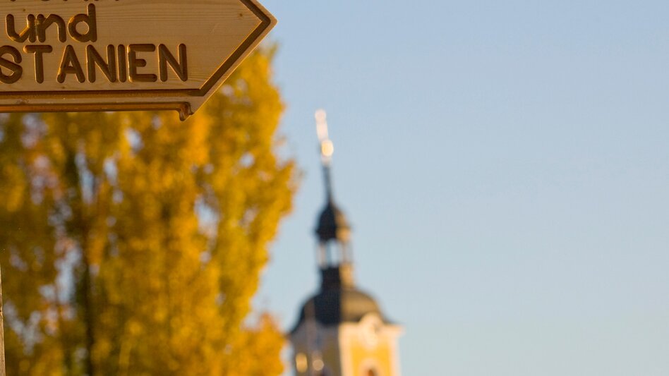 Bike Riding Etappe 01 Weinland Steiermark Radtour Leibnitz - Deutschlandsberg - Touren-Impression #2.7 | © (c) Steiermark Tourismus