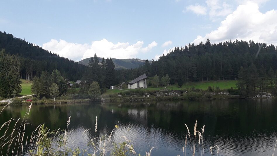 Road Cycling Beautiful, challenging round through Mariazellerland and Pielachtal - Touren-Impression #2.1 | © TV Hochsteiermark