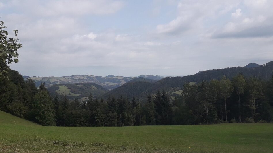 Road Cycling Beautiful, challenging round through Mariazellerland and Pielachtal - Touren-Impression #2.4 | © TV Hochsteiermark