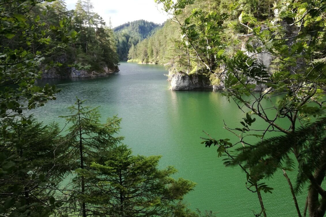 Road Cycling 3-Lakes Round Trip - Touren-Impression #1 | © Hochsteiermark