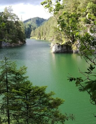 Erlaufstausee in Mitterbach | Brigitte Digruber | © Hochsteiermark