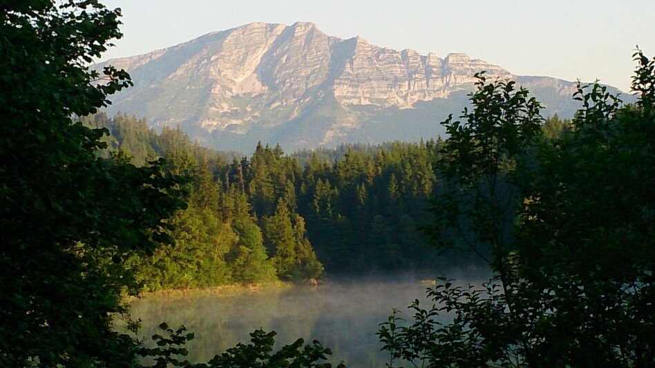 Road Cycling 3-Lakes Round Trip - Touren-Impression #2.3 | © TV Hochsteiermark
