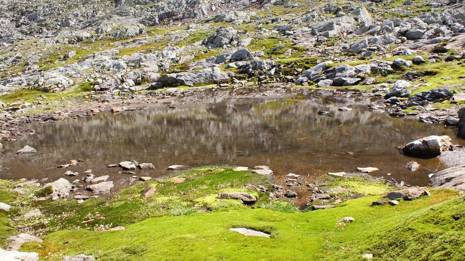 Fernwanderweg Gollinghütte - Klafferkessel - Preintalerhütte und Waldhornalm | Schladminger Tauern Höhenweg: Etappe 04 - Touren-Impression #2.18 | © Gerhard Pilz