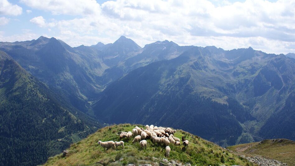 Fernwanderweg Planai-Höhenweg zur Planai | Etappe 05 für Bergfexe am Schladminger Tauern Höhenweg - Touren-Impression #2.11 | © Tourismusverband Schladming - Gerhard Pilz