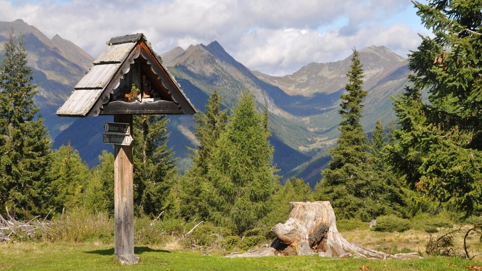 Wanderung Krakauer Höhenwanderung - Touren-Impression #2.3 | © Tourismusverband Murau