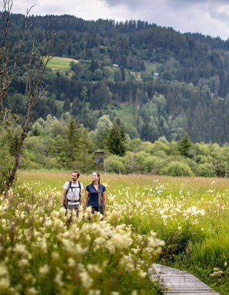 Hörfeld Moor | Tom Lamm | © Tourismusverband Murau