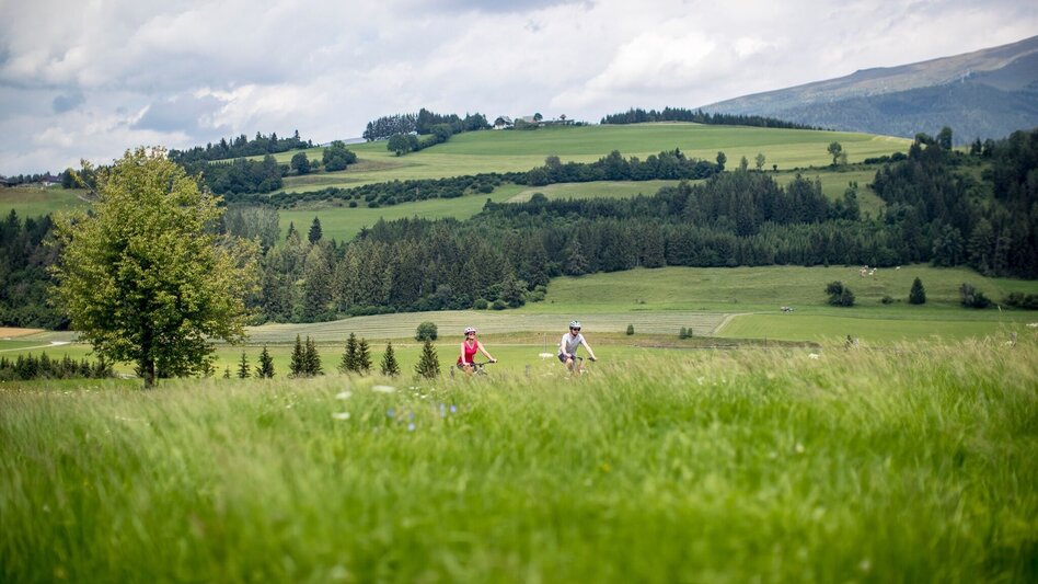 Bike Riding R37 Noric cycle path - Touren-Impression #2.2 | © Tourismusverband Murau