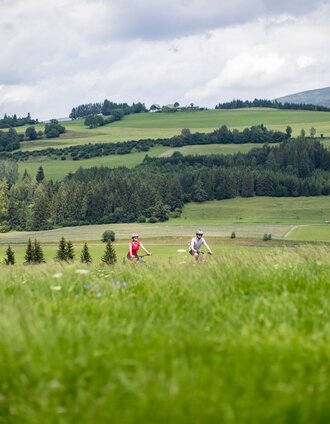 Radfahren | Tom Lamm | © Tourismusverband Murau
