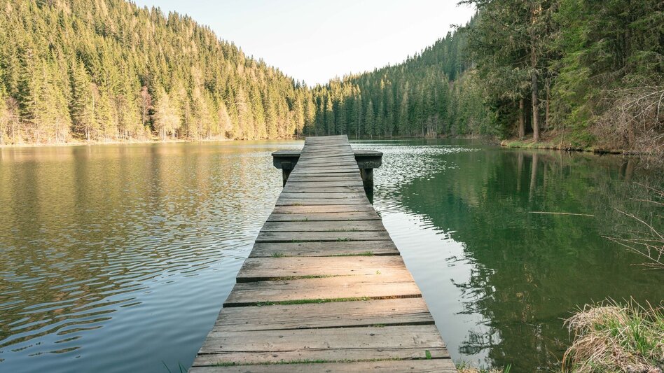 Mountain Biking Via Natura cycle path stage 1 - Touren-Impression #2.2 | © Tourismusverband Murau