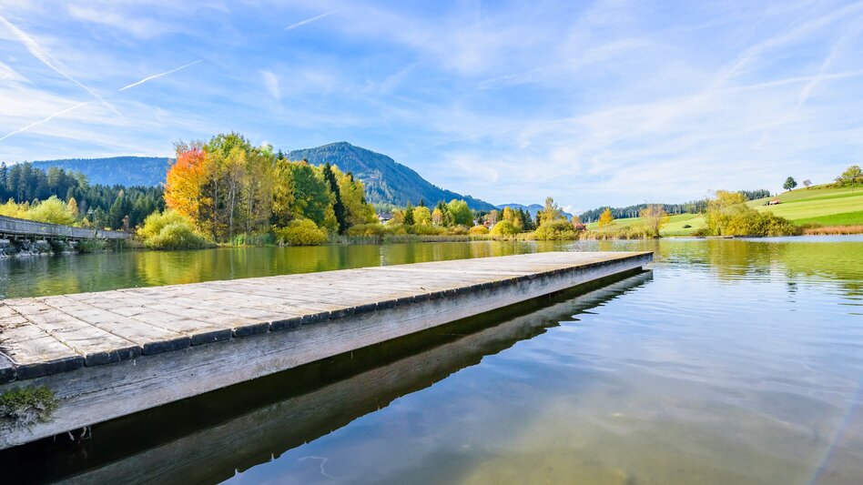 Gravelbike Via Natura Radweg Etappe 3 - Touren-Impression #2.3 | © Tourismusverband Murau