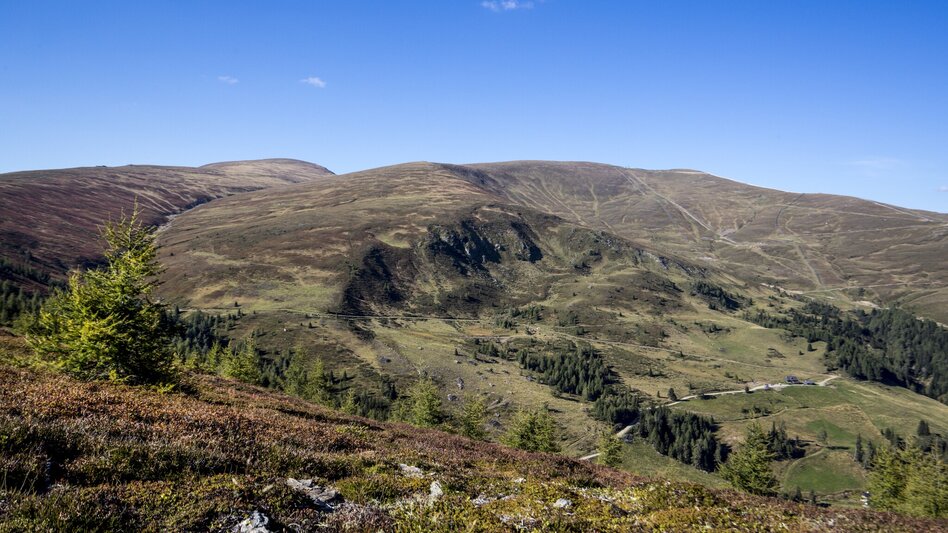 Wanderung Rossalm - Touren-Impression #2.1 | © Holzwelt