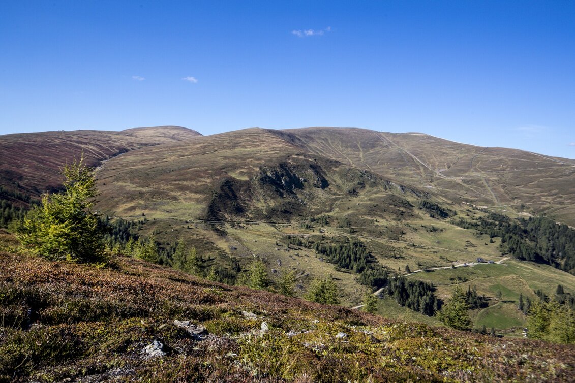 Wanderung Rossalm - Touren-Impression #1 | © Holzwelt