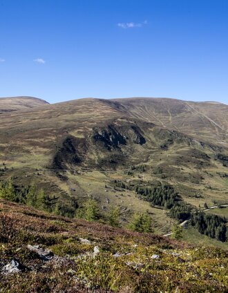 Lachtal | Tom Lamm | © Holzwelt