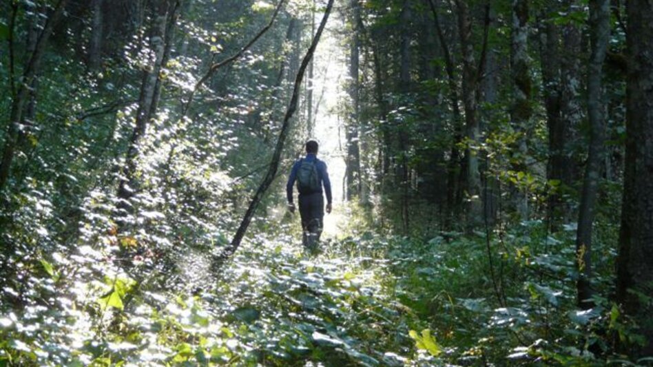 Trail Running Over the Weißenbachalm to the Türkenkogel - Touren-Impression #2.2 | © Ausseerland