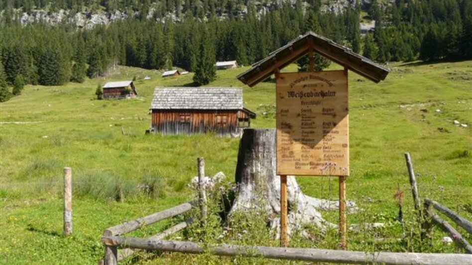 Trail Running Over the Weißenbachalm to the Türkenkogel - Touren-Impression #2.3 | © Ausseerland