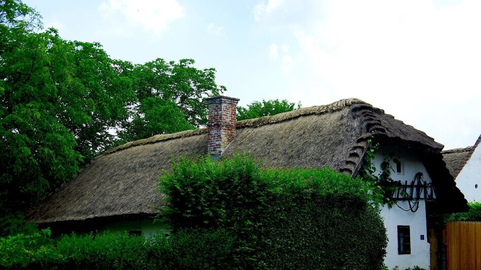 Bike Riding Raab valley tour - FF 17 (Raabtaltour) - Touren-Impression #2.5 | © Erlebnisregion Thermen- & Vulkanland