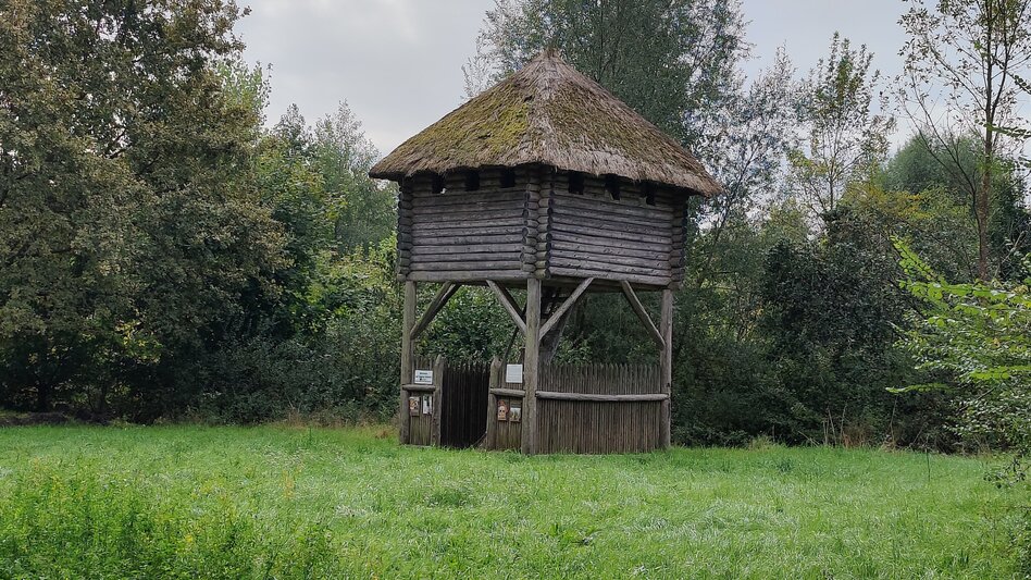 Bike Riding Raab valley tour - FF 17 (Raabtaltour) - Touren-Impression #2.3 | © Thermen- & Vulkanland