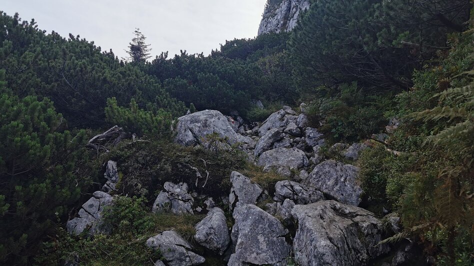 Bergtour Bergtour auf den Sandling - Touren-Impression #2.4 | © Ausseerland