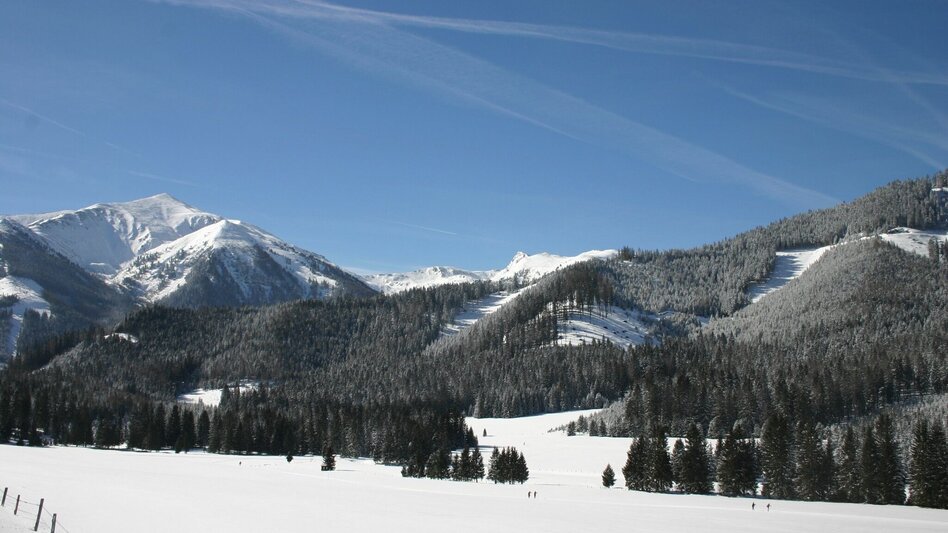 Langlauf Skating Schilanglauf Hohentauern - Touren-Impression #2.4 | © Erlebnisregion Murtal