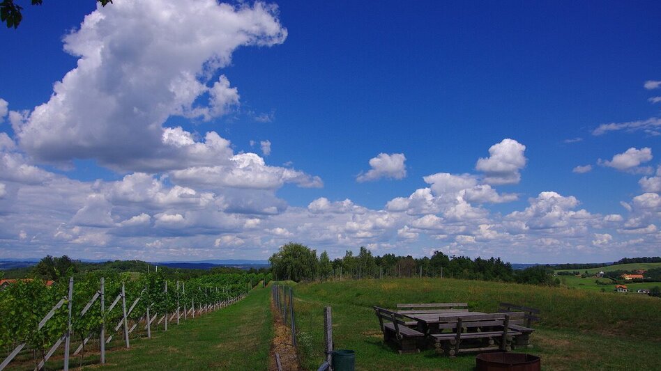 Hiking route For "cross-border commuters" (Für "Grenzgänger) / Trail 2 - Touren-Impression #2.3 | © Thermen- & Vulkanland