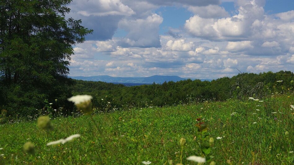 Hiking route For "cross-border commuters" (Für "Grenzgänger) / Trail 2 - Touren-Impression #2.4 | © Thermen- & Vulkanland