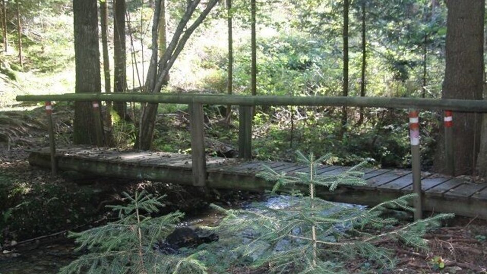 Hiking route Genuss-Schilchern DA - Touren-Impression #2.2 | © TVB Südsteiermark/Michael Lang