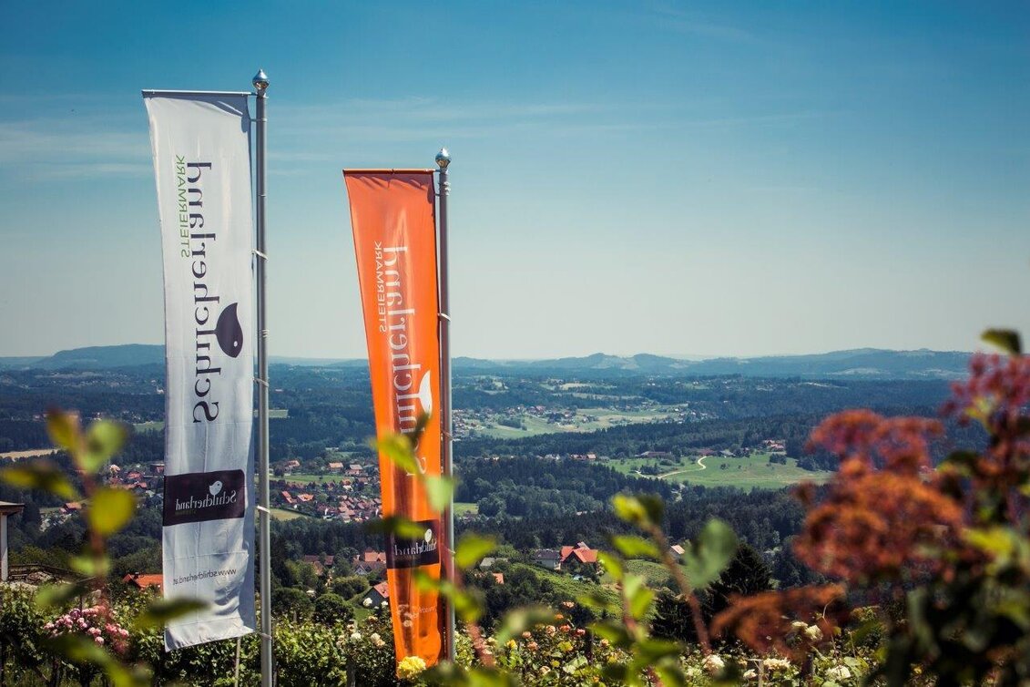 Hiking route Genuss-Schilchern DA - Touren-Impression #1 | © TVB Südsteiermark/Lupi Spuma