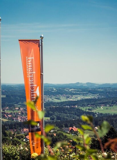 Schilcherland in der Erlebnisregion Südsteiermark | © TVB Südsteiermark/Lupi Spuma | Lupi Spuma | © TVB Südsteiermark/Lupi Spuma