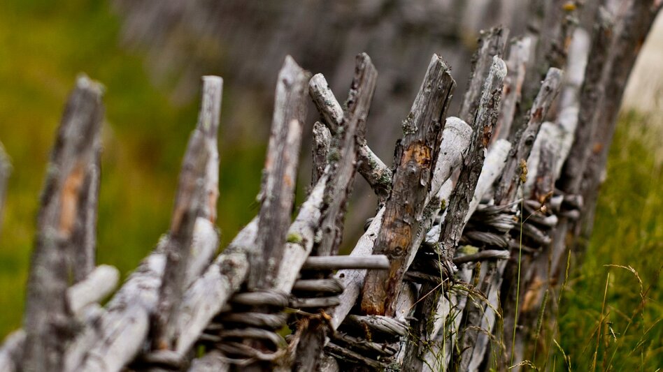 Wanderung Etappe 24 Vom Gletscher zum Wein Nordroute Am Straßegg - Almenland Brandlucken - Touren-Impression #2.4 | © Steiermark Tourismus/Leo Himsl